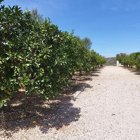 Entrecolinas Bed & Breakfast Paderne  Bagian luar foto
