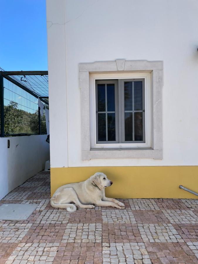 Entrecolinas Bed & Breakfast Paderne  Bagian luar foto