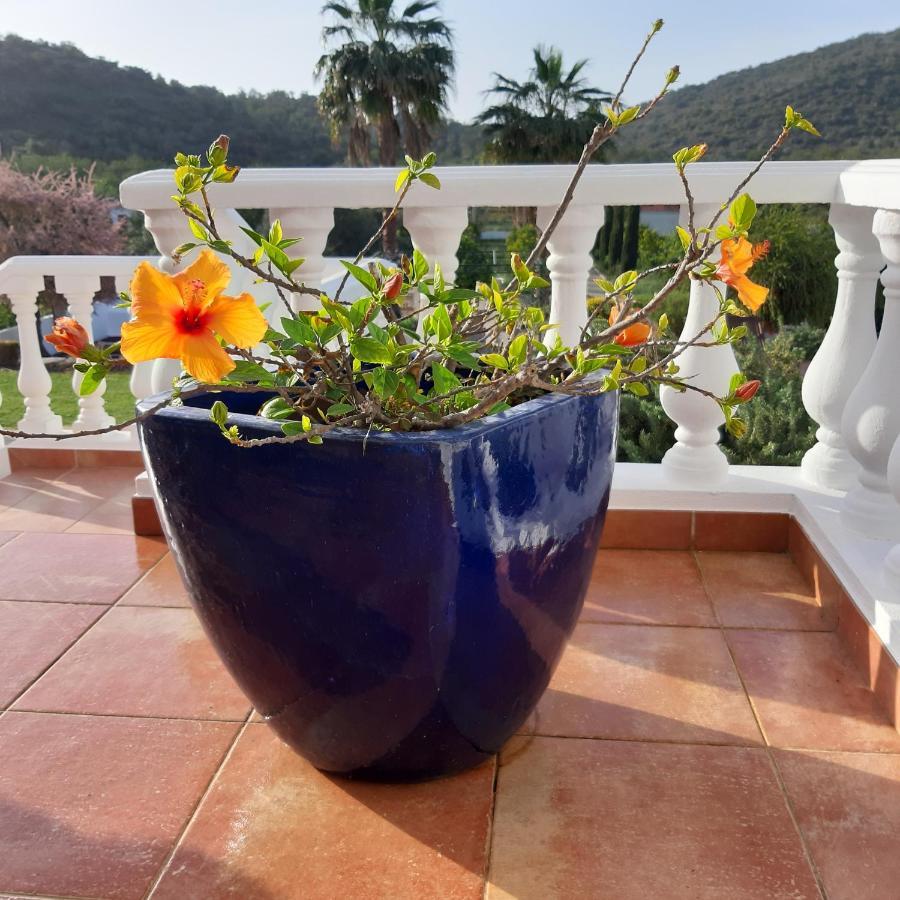 Entrecolinas Bed & Breakfast Paderne  Bagian luar foto