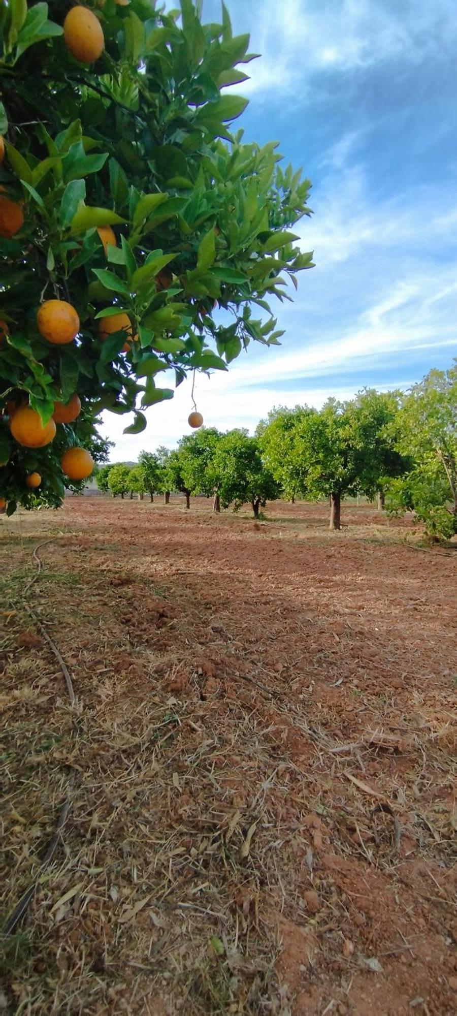 Entrecolinas Bed & Breakfast Paderne  Bagian luar foto